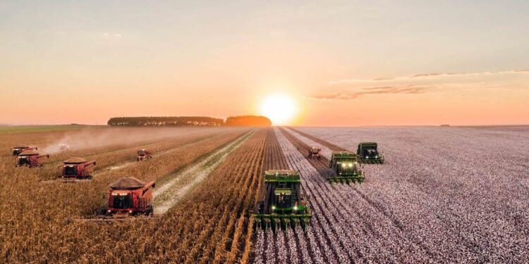 How Today’s Farm Economy Stacks Up to the 1980s and What Farmers Can Do About It – Successful Farming