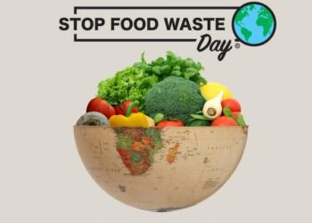 Researchers Discover New Bacterium That Turns Food Waste Into Energy – Technology Networks