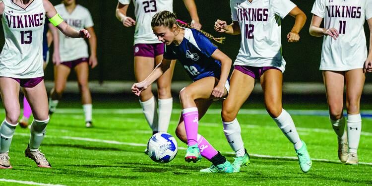 How to watch Tennessee high school girls soccer: Science Hill vs. Bearden, Oct. 28 – USA TODAY High School Sports