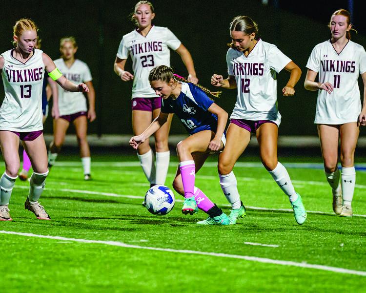 How to watch Tennessee high school girls soccer: Science Hill vs. Bearden, Oct. 28 – USA TODAY High School Sports
