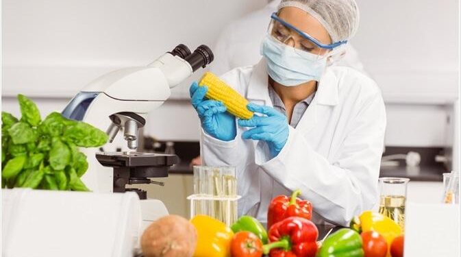 From Food Science to Forbes: NC State Alum Connor Balfany’s Entrepreneurial Path – NC State University