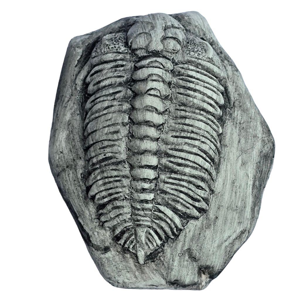 New Fossils Show Dinosaurs Were Thriving Until the Final Asteroid Strike – ZME Science