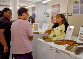 ‘It’s (Probably) Not Rocket Science’ steps inside the Museum of Southwestern Biology – UNM Newsroom