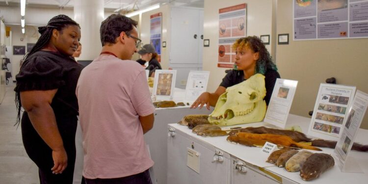 ‘It’s (Probably) Not Rocket Science’ steps inside the Museum of Southwestern Biology – UNM Newsroom