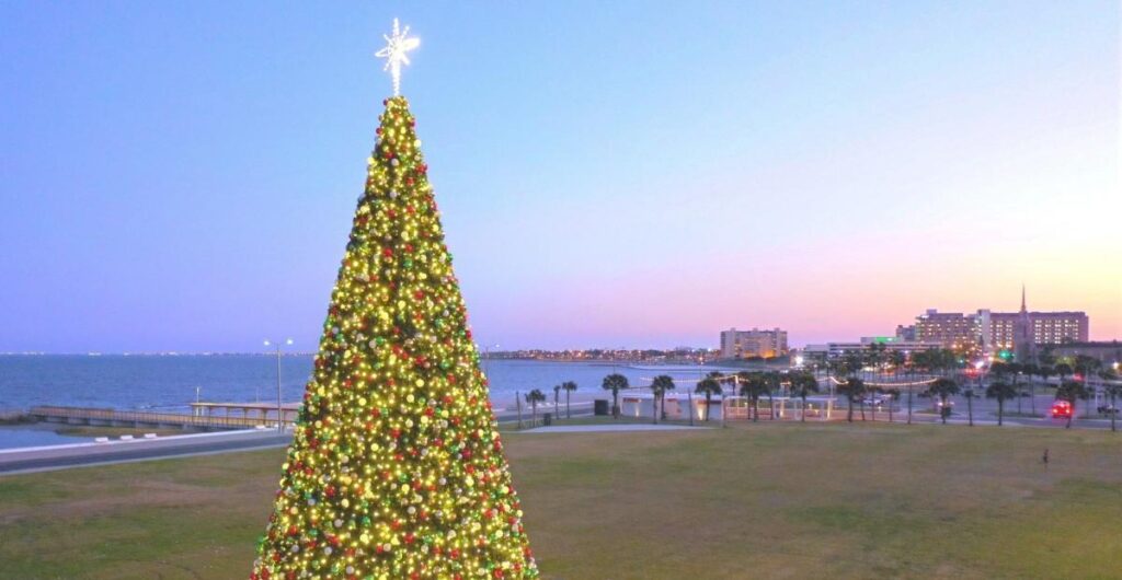 Looking for things to do in the Corpus Christi area in November 2025? Check out our list. – Corpus Christi Caller-Times