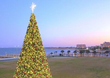Looking for things to do in the Corpus Christi area in November 2025? Check out our list. – Corpus Christi Caller-Times