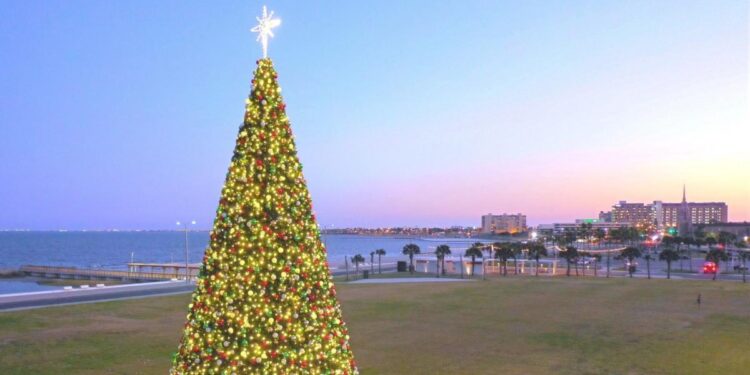 Looking for things to do in the Corpus Christi area in November 2025? Check out our list. – Corpus Christi Caller-Times