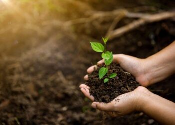 Ecology and Evolution – Simons Foundation