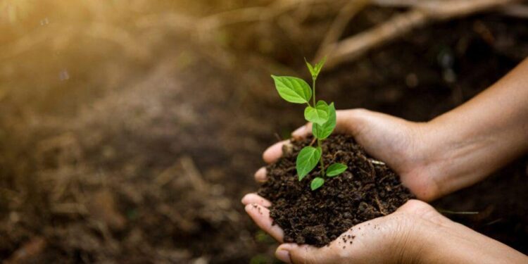 Ecology and Evolution – Simons Foundation