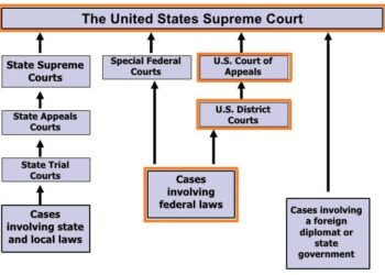 Federal court order to fund SNAP won’t affect extra $65M for N.Y. food banks – Spectrum News