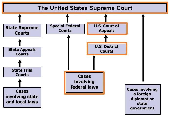 Federal court order to fund SNAP won’t affect extra $65M for N.Y. food banks – Spectrum News