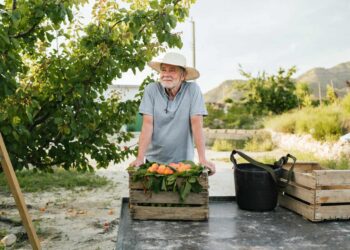Washington Ecology fines weigh heavily on octogenarian farmer – Capital Press
