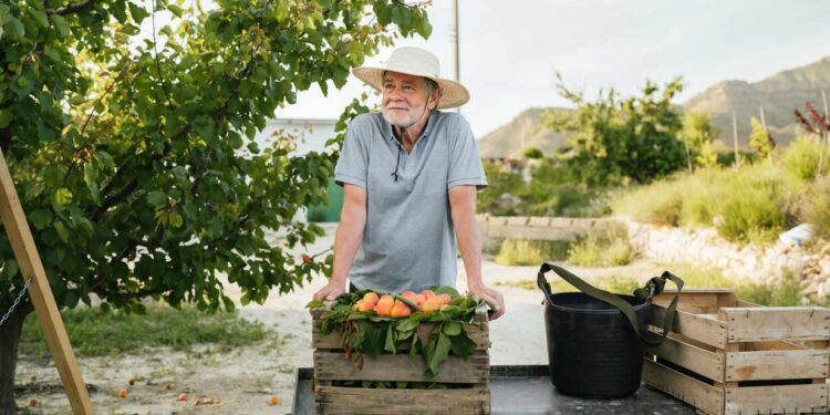 Washington Ecology fines weigh heavily on octogenarian farmer – Capital Press