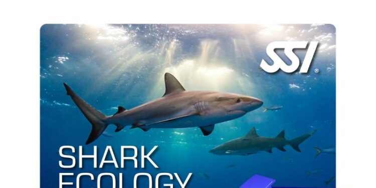 Deep Dive Into Shark Ecology Provides Path to Conservation – Georgia Institute of Technology