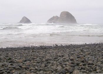 I Tried Tillamook’s Limited-Edition Butternaise — and It Just Might Change Your Grilled Cheese Game – Yahoo