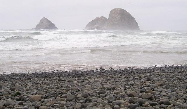 I Tried Tillamook’s Limited-Edition Butternaise — and It Just Might Change Your Grilled Cheese Game – Yahoo