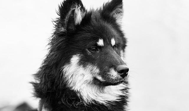 Governor Reeves announces Mississippi’s submission to a $50 billion federal rural health fund – Mississippi Public Broadcasting