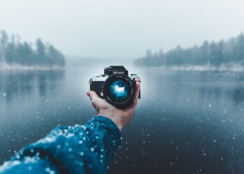 What happens to ecosystems when you restore iconic top predators? It’s more complicated than you might think. – UC Santa Cruz – News