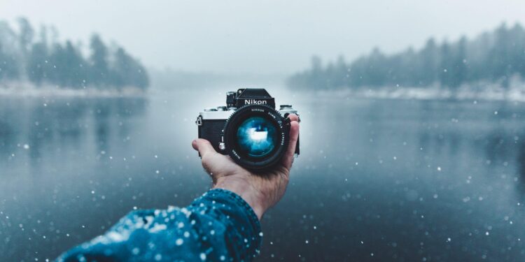 What happens to ecosystems when you restore iconic top predators? It’s more complicated than you might think. – UC Santa Cruz – News