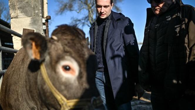 Does punitive ecology make sense? – Bon Pote