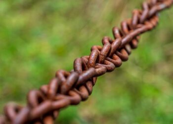 Connections: Sports Edition hints for Nov. 9, 2025, puzzle No. 412 – The Athletic – The New York Times