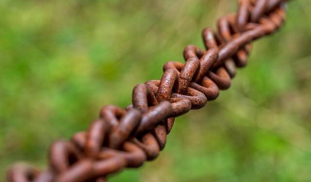 Connections: Sports Edition hints for Nov. 9, 2025, puzzle No. 412 – The Athletic – The New York Times