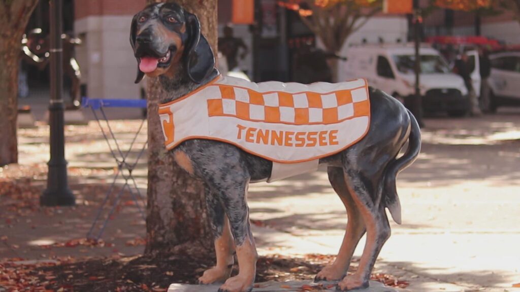 Smokey X, beloved retired Vols mascot, ‘doing well’ amid health challenges – WVLT