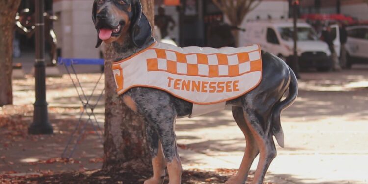 Smokey X, beloved retired Vols mascot, ‘doing well’ amid health challenges – WVLT