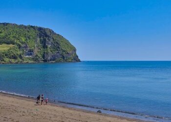 WHO’s Global Health Vision Aims to Bridge Science, Tradition – Mexico Business News