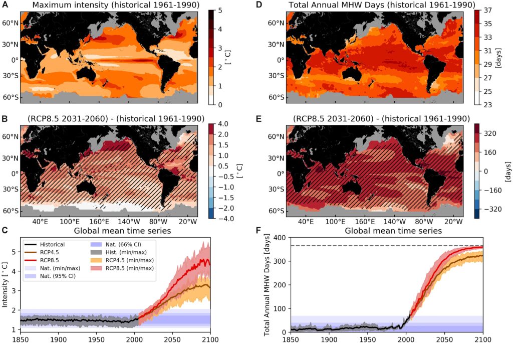 Novel contributions to marine heatwave ecology: Identifying and addressing knowledge gaps in ecological impacts – besjournals