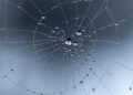 Video Massive spider web on Greece-Albania border might be world’s largest – abcnews.go.com