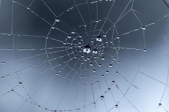 Video Massive spider web on Greece-Albania border might be world’s largest – abcnews.go.com