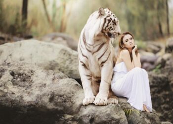 Two Tigers land Liberty League All-Conference honors – Rochester Institute of Technology Athletics