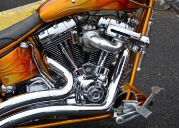 Strain displacement in microbiomes via ecological competition – Nature