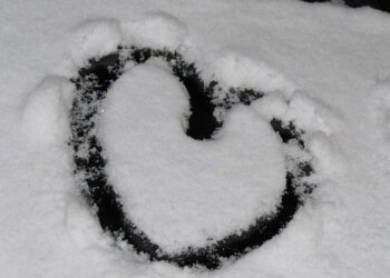 Nine Emory faculty recognized among world’s most influential researchers in 2025 | Emory University | Atlanta GA – Emory University