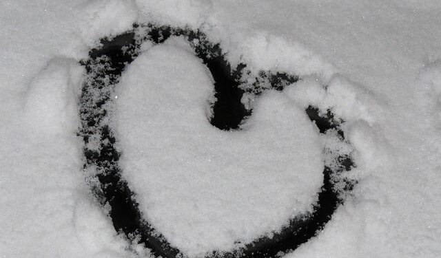 Nine Emory faculty recognized among world’s most influential researchers in 2025 | Emory University | Atlanta GA – Emory University