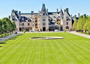 Vanderbilt Institute for Global Health marks 20 years – VUMC News