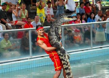 How Enodo Achieved $1 Million ARR by Leveraging Data Science and Strategic Partnerships – getlatka.com