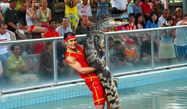 How Enodo Achieved $1 Million ARR by Leveraging Data Science and Strategic Partnerships – getlatka.com