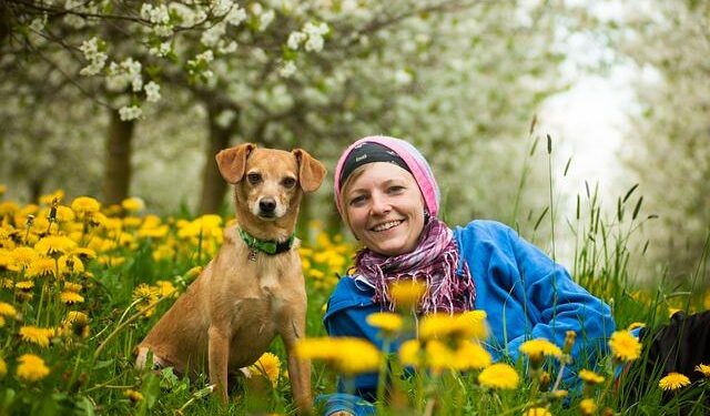 Human biomass movement exceeds the biomass movement of all land animals combined – Nature