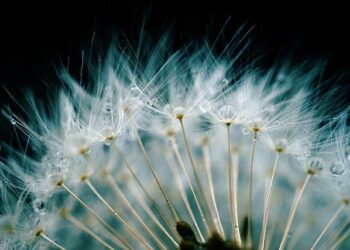 Habitat heterogeneity and green filamentous algae influence the larval ecology of Anopheles stephensi during the dry season in Eastern Ethiopia – Parasites & Vectors