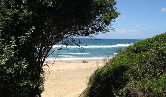 Kimani Vidal injury update: Chargers RB hurts thigh vs. Jaguars – Yahoo Sports