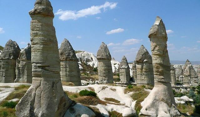 “EA SPORTS Madden NFL Cast” Goes Primetime for Bengals-Ravens Thanksgiving Matchup, Streaming Live Exclusively on Peacock, Thursday, Nov 27 at 8 P.M. ET – Genius Sports