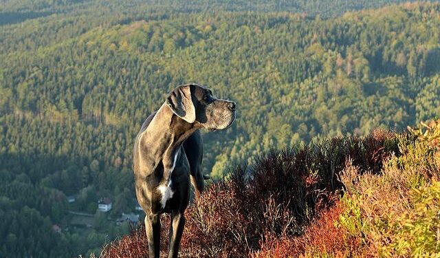 Claire Danes Gets Honest About Her Surprise Pregnancy at Age 44 – Yahoo