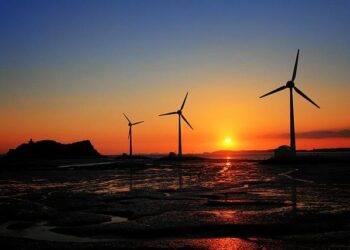 Trader Joe’s Is Now Carrying One My Favorite Products for a Limited Time (and It’s a Bargain) – Yahoo