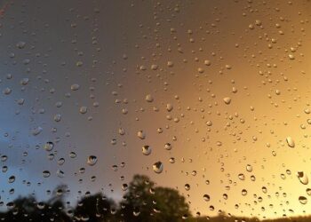 People who stay genuinely happy after 50 usually practice these 7 daily rituals – VegOut