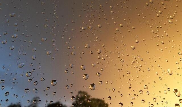 People who stay genuinely happy after 50 usually practice these 7 daily rituals – VegOut