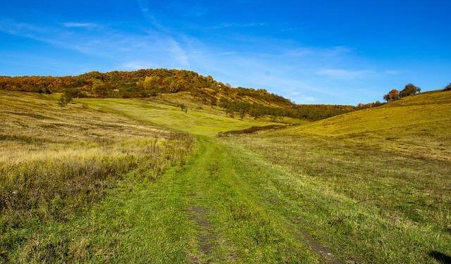 Putative ‘Dispersal Adaptations’ Do Not Explain the Colonisation of a Volcanic Island by Vascular Plants, but Birds Can – Wiley Online Library