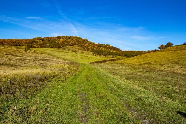 Putative ‘Dispersal Adaptations’ Do Not Explain the Colonisation of a Volcanic Island by Vascular Plants, but Birds Can – Wiley Online Library