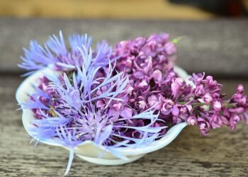 American Legion Hall celebrates Veterans with night of entertainment – Bethany Republican-Clipper